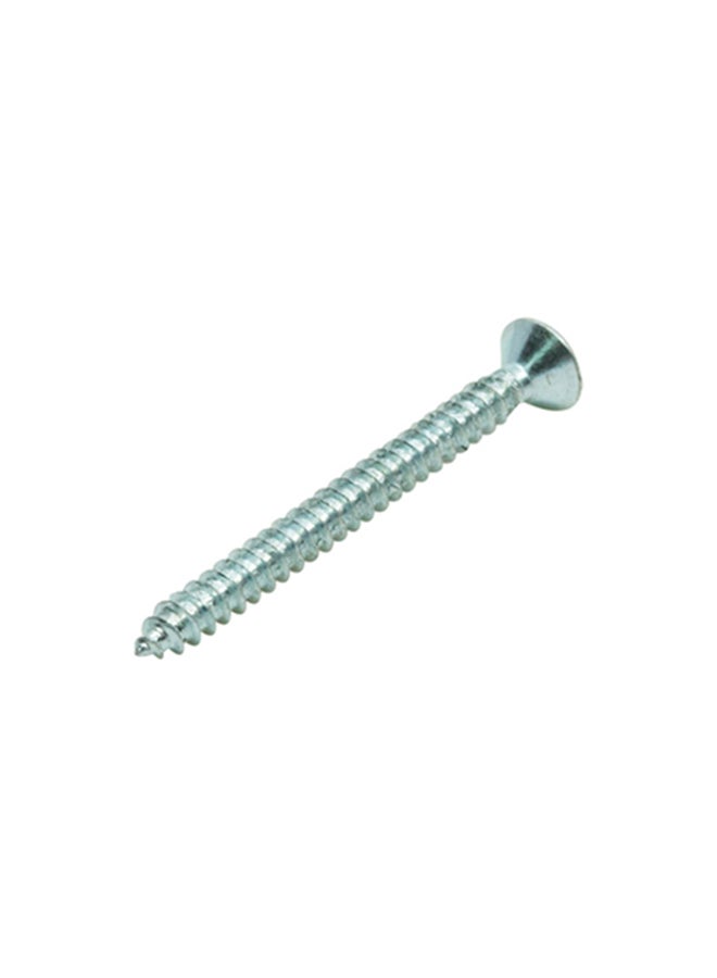 Homesmiths ST Screw Silver 6x1.5inch - Image 2