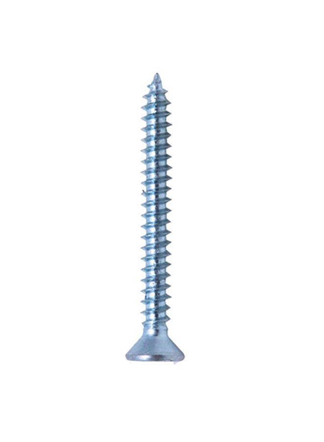 Homesmiths ST Screw Silver 8x1.5inch - Image 1