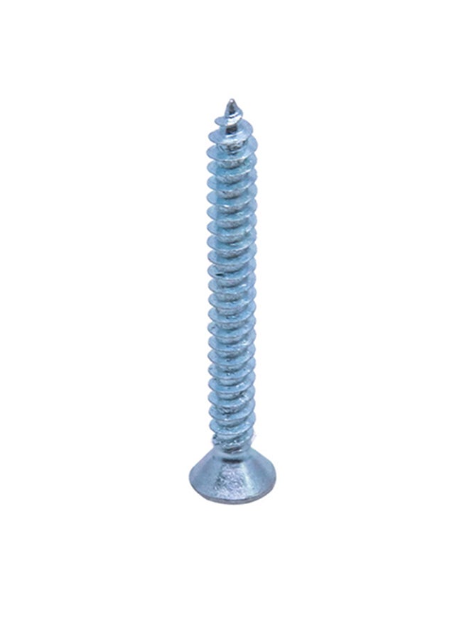 Homesmiths ST Screw Silver 8x1.5inch - Image 3