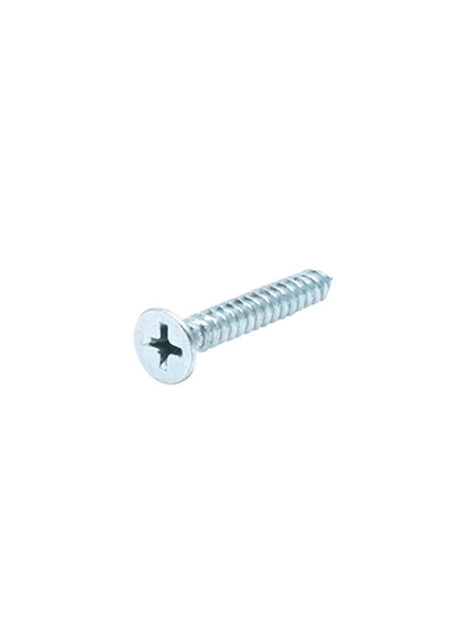 Homesmiths ST Screw Silver 10x1.25inch - Image 2