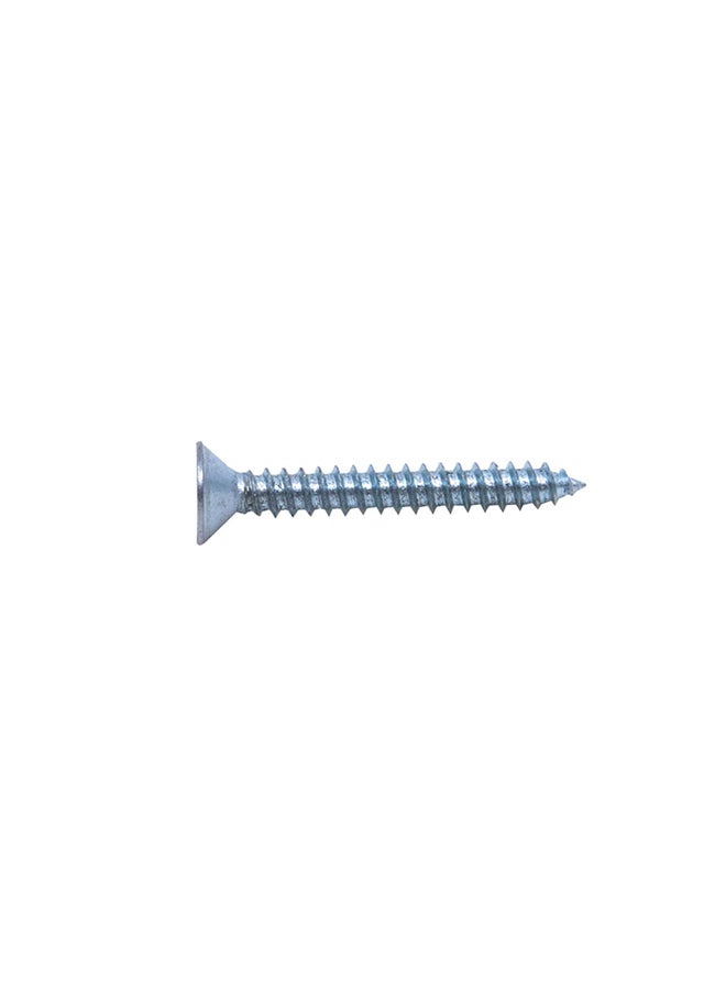 Homesmiths ST Screw Silver 8x1.25inch - Image 2