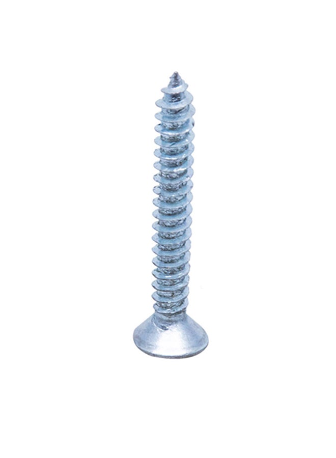Homesmiths ST Screw Silver 8x1.25inch - Image 1