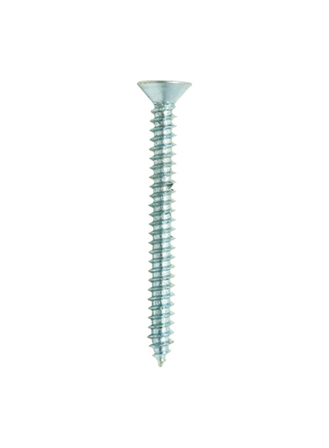 Homesmiths ST Screw Silver 10x2inch - Image 1