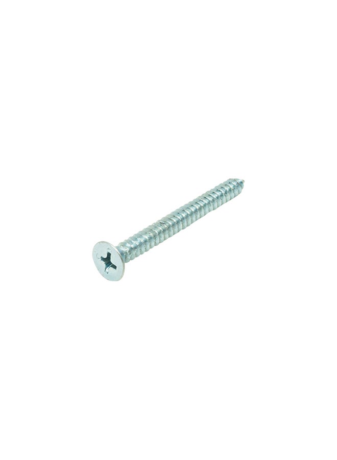 Homesmiths ST Screw Silver 10x2inch - Image 2