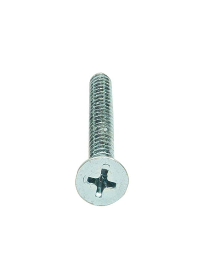 Homesmiths ST Screw Silver 10x2inch - Image 3