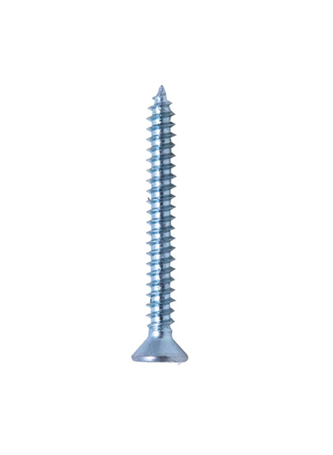 Homesmiths ST Screw Silver 8x2inch  - Image 1