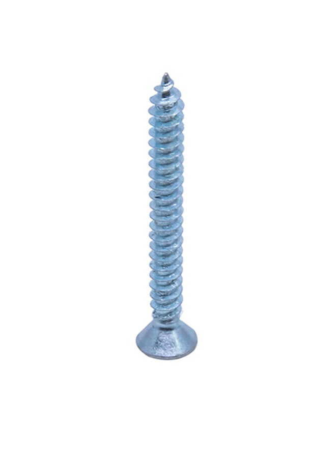 Homesmiths ST Screw Silver 8x2inch  - Image 3