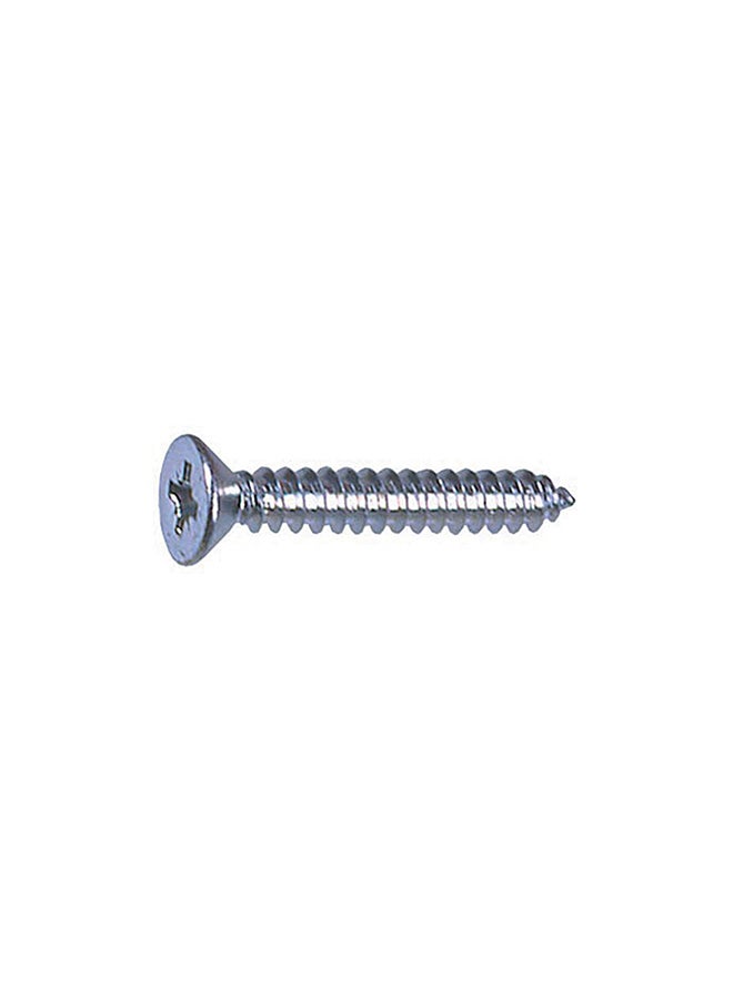 Homesmiths ST Screw Silver 10x0.75inch  - Image 1