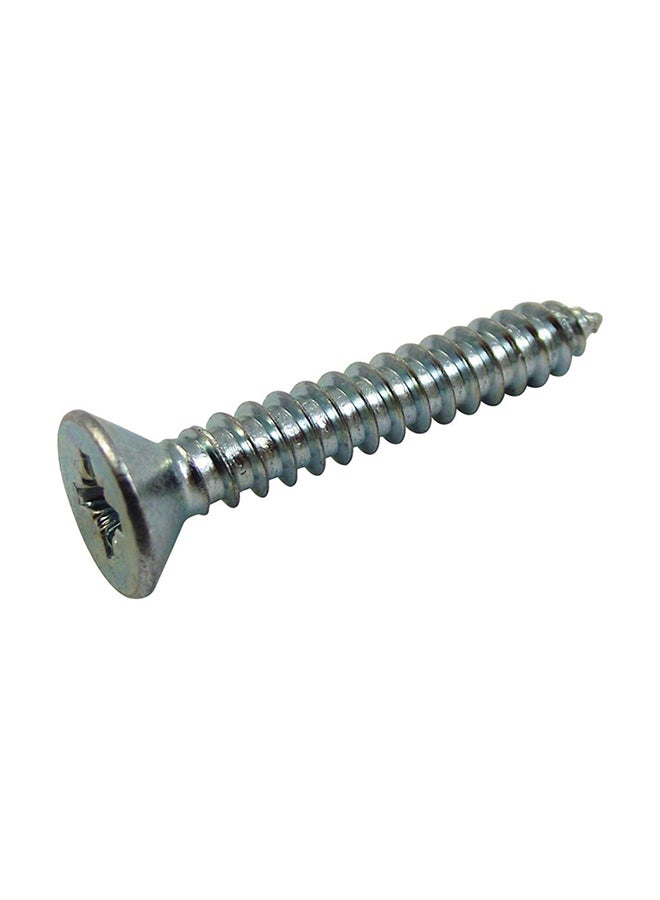 Homesmiths ST Screw Silver 10x0.75inch  - Image 2