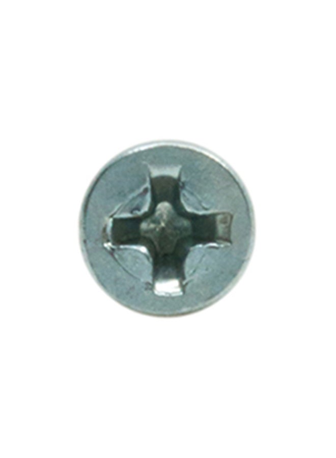 Homesmiths ST Screw Silver 6x0.75inch - Image 2