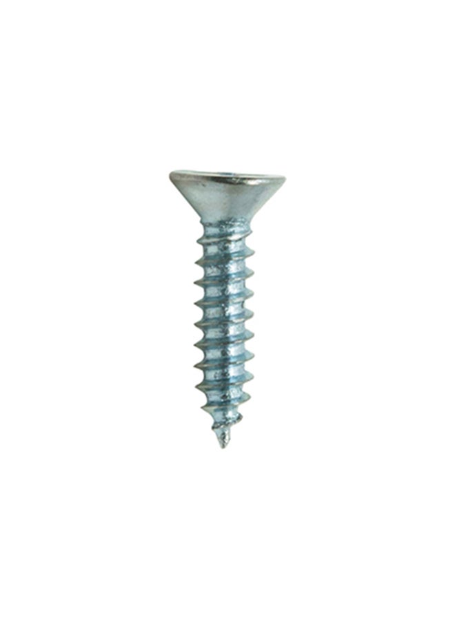 Homesmiths ST Screw Silver 8x0.75inch - Image 1