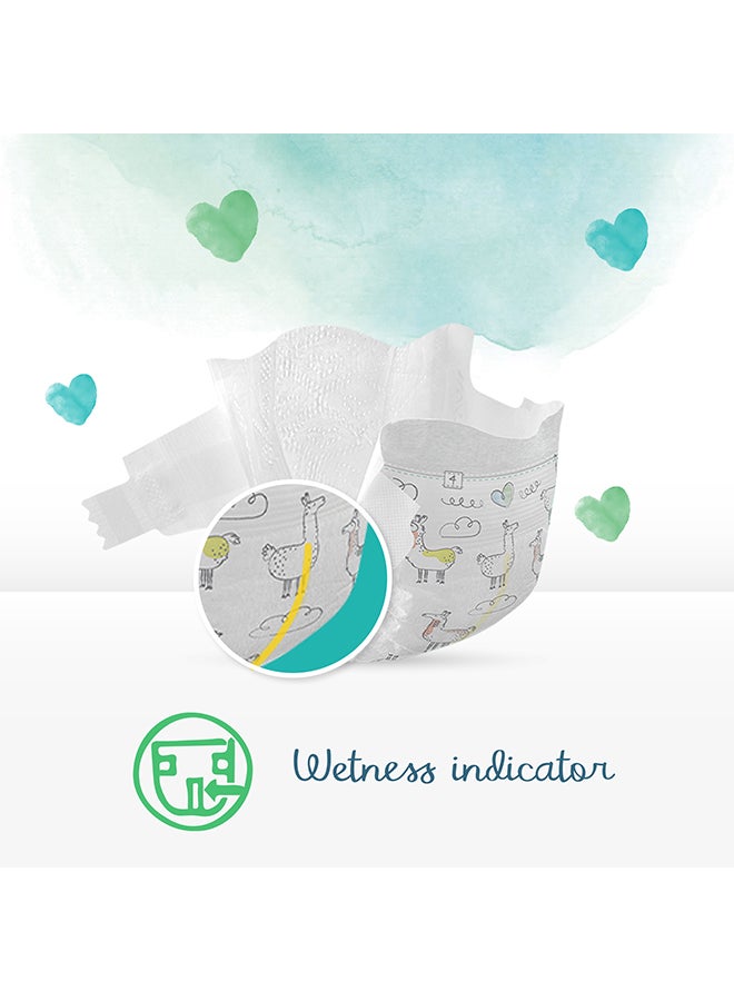 Pampers - Pure Protection Diapers, Size 5, 11+ Kg, 24 Count - Dermatologically Tested, 0% Perfume, Chlorine And Bleaching - Image 1
