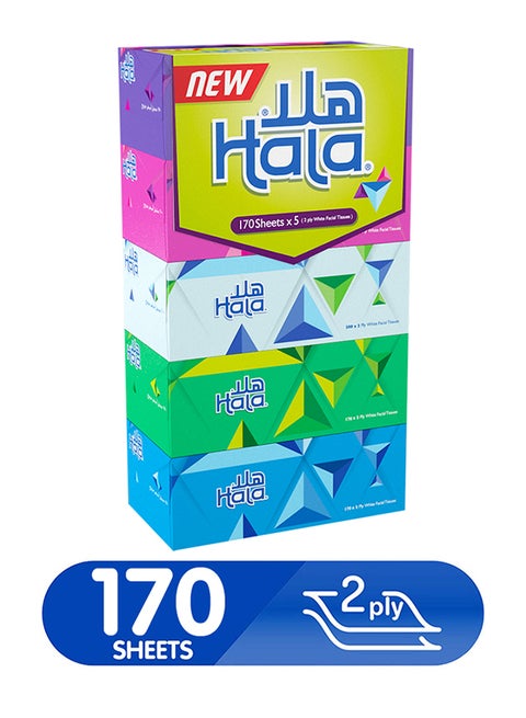 Facial Tissue Assorted, 2 Ply, 170 Sheets, Pack Of 5 Multicolour