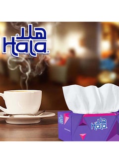 Hala Facial Tissue Assorted, 2 Ply, 170 Sheets, Pack Of 5 Multicolour  - Image 3