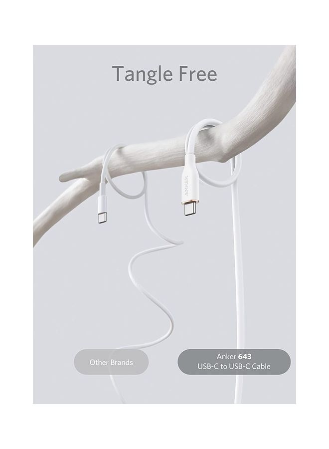 Anker USB-C to USB-C Cable, 643 Cable 100W 6ft, USB 2.0 Type C Charging Cable Fast Charge for MacBook Pro/Air (M1/M2), iPad Pro/Air/Mini, Galaxy S25/S24/S23/S22, Pixel 8/7/6, Switch, and More (Cloud White) White  - Image 3