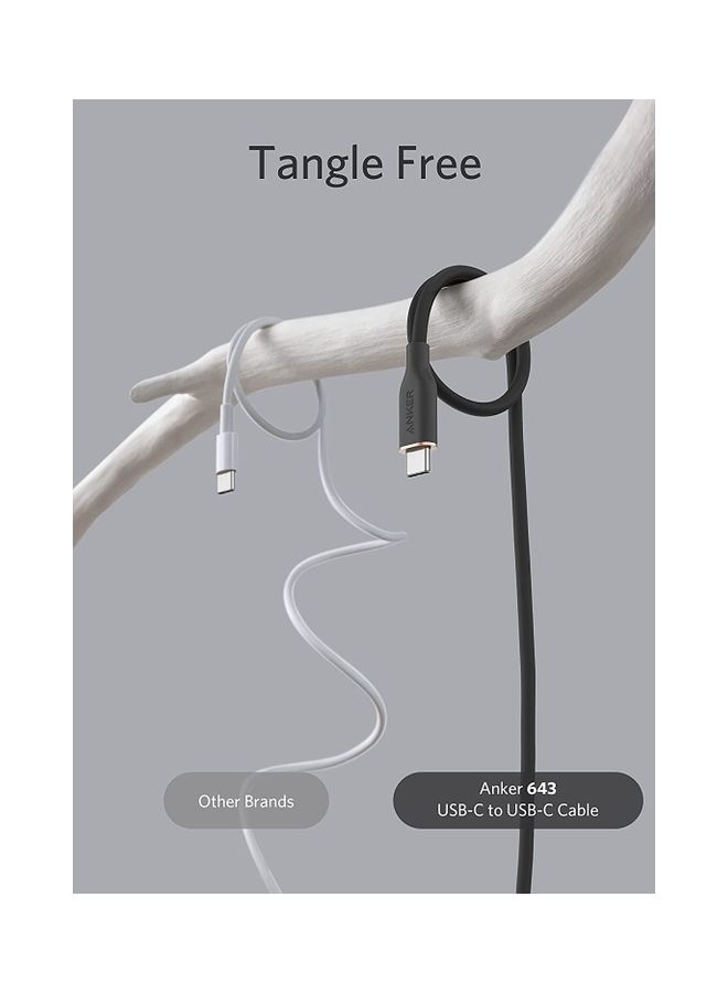 Anker USB-C to USB-C Cable, 643 Cable 100W 182.8 cm, USB 2.0 Type C Charging Cable Fast Charge for MacBook Pro/Air (M1/M2), iPad Pro/Air/Mini, Galaxy S25/S24/S23/S22, Pixel 8/7/6, Switch, and More (Midnight Black) Black  - Image 3