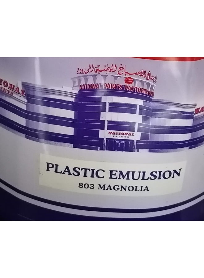 ناشونال بينتس طلاء جدران مستحلب بلاستيكي مائي - Image 2