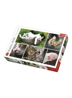 1500-Piece Jigsaw Puzzle Just Cat Things Collage