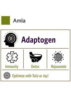 Organic India Amla - Vitamin C Dietary Supplement - 90 Capsules  - Image 3