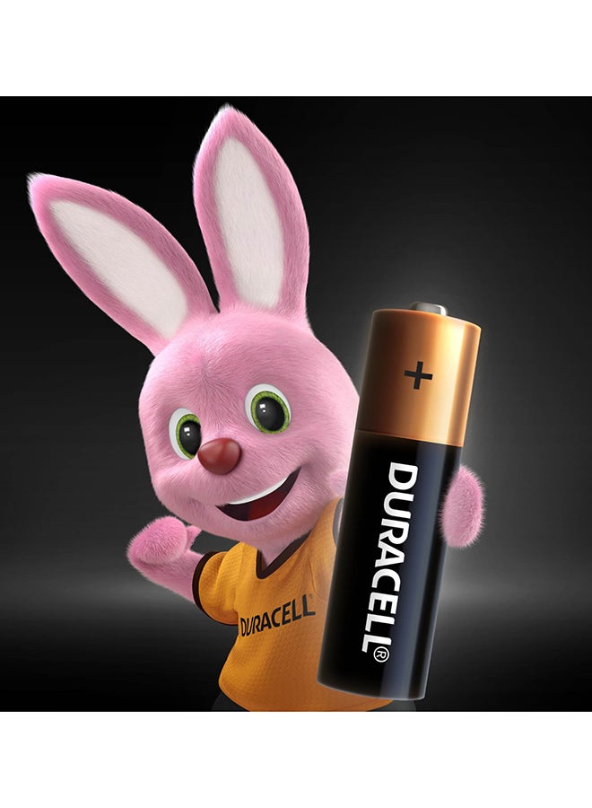 Duracell Superior Nylon Top Closure Type AA Alkaline Batteries 12 Pieces - Image 2