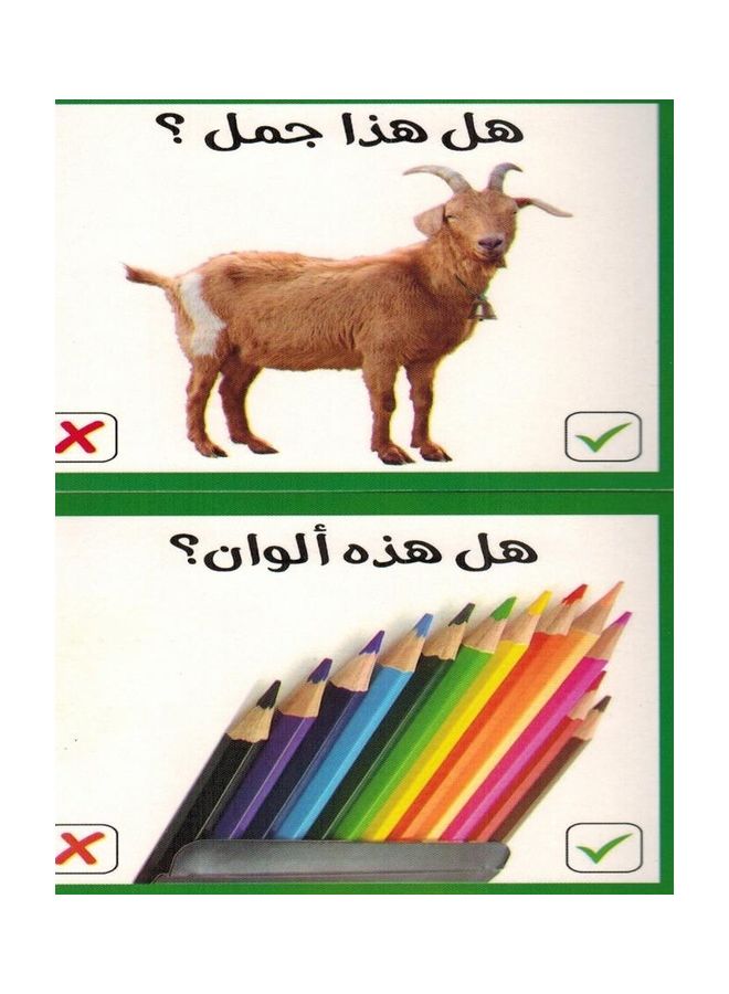 ما هذا؟ بطاقات تعليمية 12 سم 12سم - Image 3