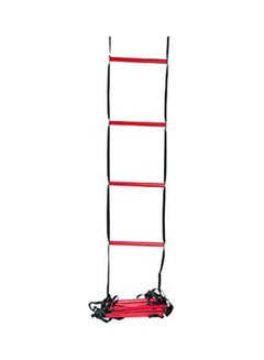 Wilson Training Ladder  - Image 2