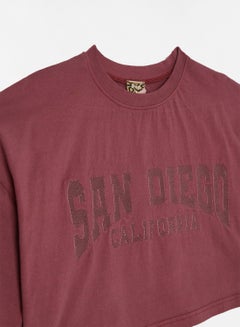 Sivvi x GenM San Diego Cropped T-Shirt Brown  - Image 3