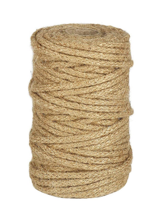 Braided Jute Twin Wide Jute Rope For Artworks And Crafts Macrame Projects Gardening Applications Multicolour 0.35cm - v1648163711/N52988236A_1