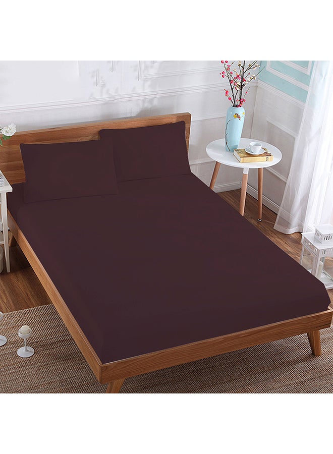 Scala 3-Piece Set 400 Thread Count Fitted Sheet and 2 Pillow Cover King Size 100% Cotton Brown  - Image 1