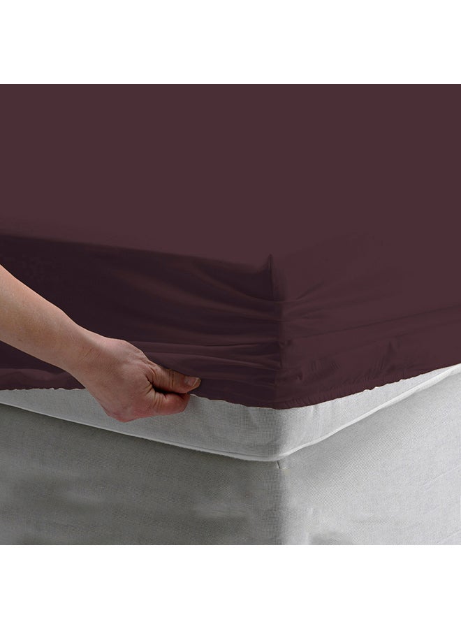 Scala 3-Piece Set 400 Thread Count Fitted Sheet and 2 Pillow Cover King Size 100% Cotton Brown  - Image 2