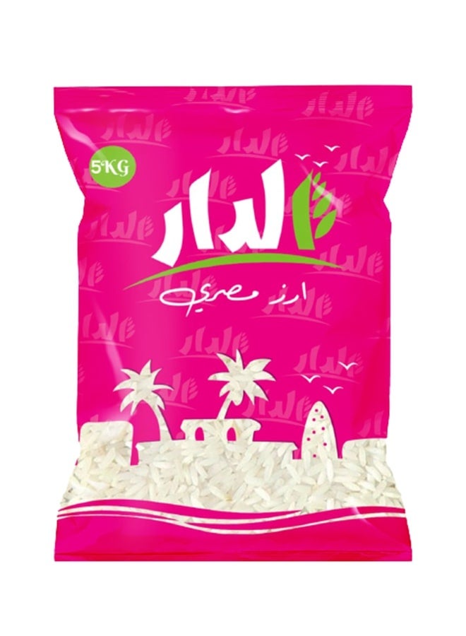 سعر ومواصفات الدار أرز 5كيلوجرام (N29047422A) على Noon EG