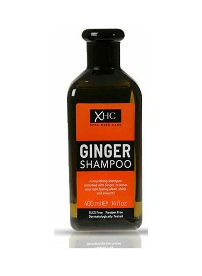 Ginger Shampoo Nourishing Sleek Shiny Hair Gentle Scalp Care SLES Black 400ml