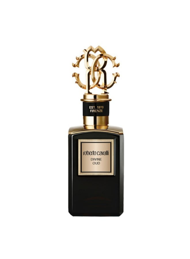 ماء عطر دايفن عود 100ملليلتر - v1648720785/N12841371A_1