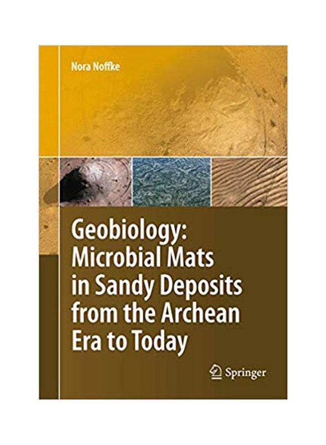Geobiology: Microbial Mats In Sandy Deposits From The Archean Era To Today Paperback English by Noffke - 2010 