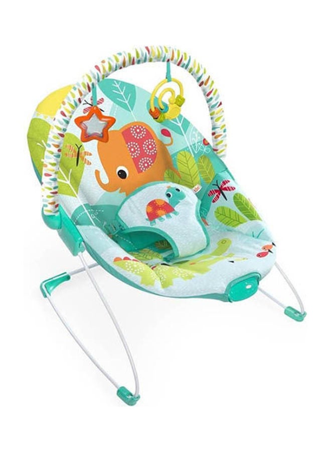 Bouncer Raindrop Rainforest