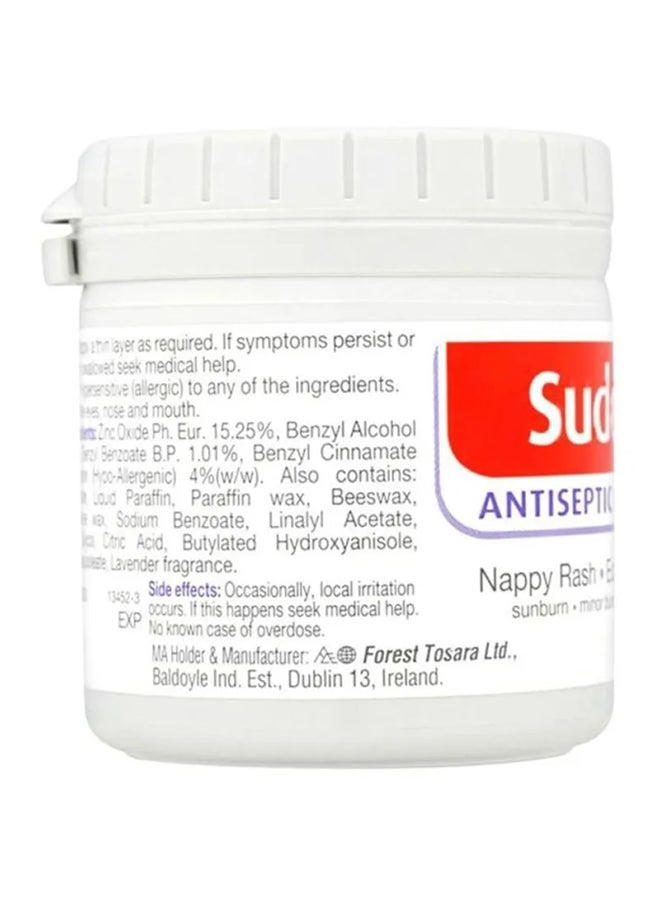 Sudocrem - Antiseptic Healing Cream To Protect Rash And Surface Wound - 125g - Image 1