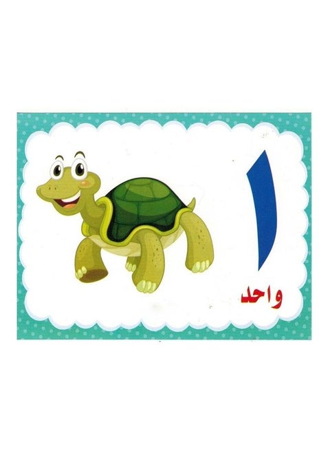 الرقم العربي 16سم 16سم