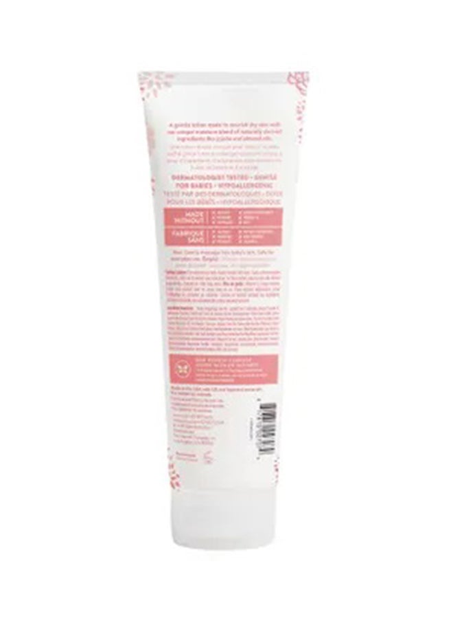 The Honest Company - Gently Nourishing Sweet Almond Face Plus Body Lotion - 250 ml - Image 1