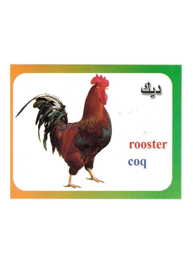 let's Learn by Cards- Farm Animals 16cm  - Image 2
