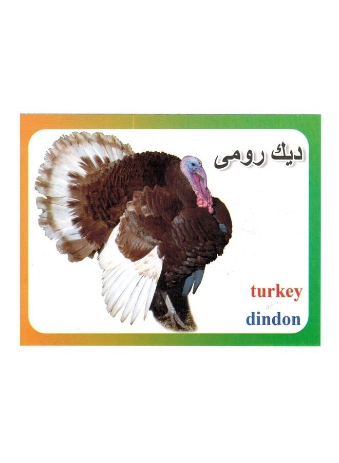 let's Learn by Cards- Farm Animals 16cm  - Image 3