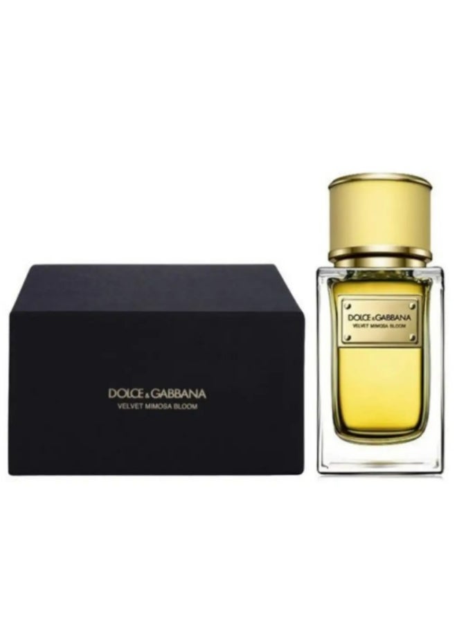 Dolce & Gabbana - Velvet Mimosa Bloom Eau de Parfum Spray 50ml - Image 1