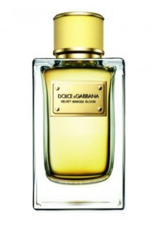 Dolce & Gabbana - Velvet Mimosa Bloom Eau de Parfum Spray 50ml - Image 1