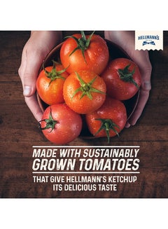Hellmann's Tomato Ketchup 290grams  - Image 2