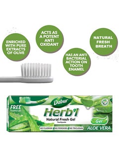 Dabur Herbal Aloe Vera Toothpaste 150g +Toothbrush Free  - Image 2