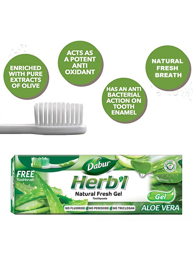 Dabur - Herbal Aloe Vera Toothpaste 150g +Toothbrush Free - Image 1