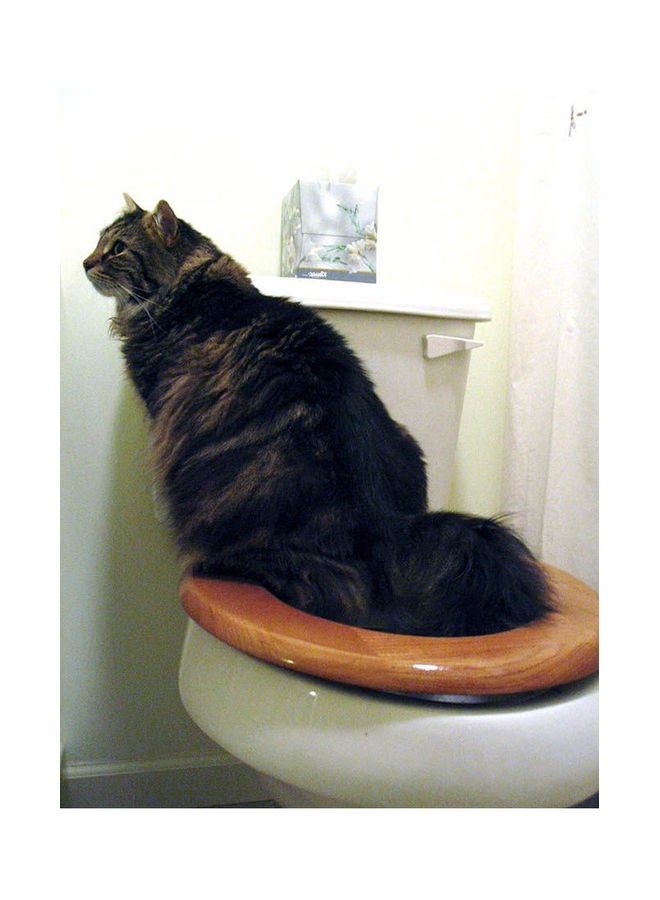 Cat Toilet Training Kit White - Image 2