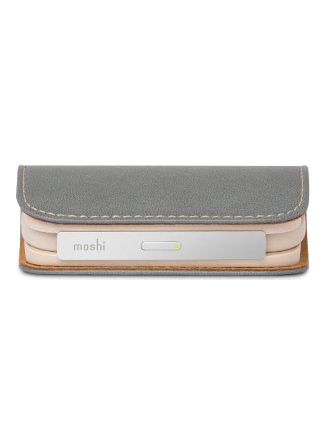 IonGo 5K Duo Portable Battery with Built in Lightning and USBC Cables - Fossil Gray