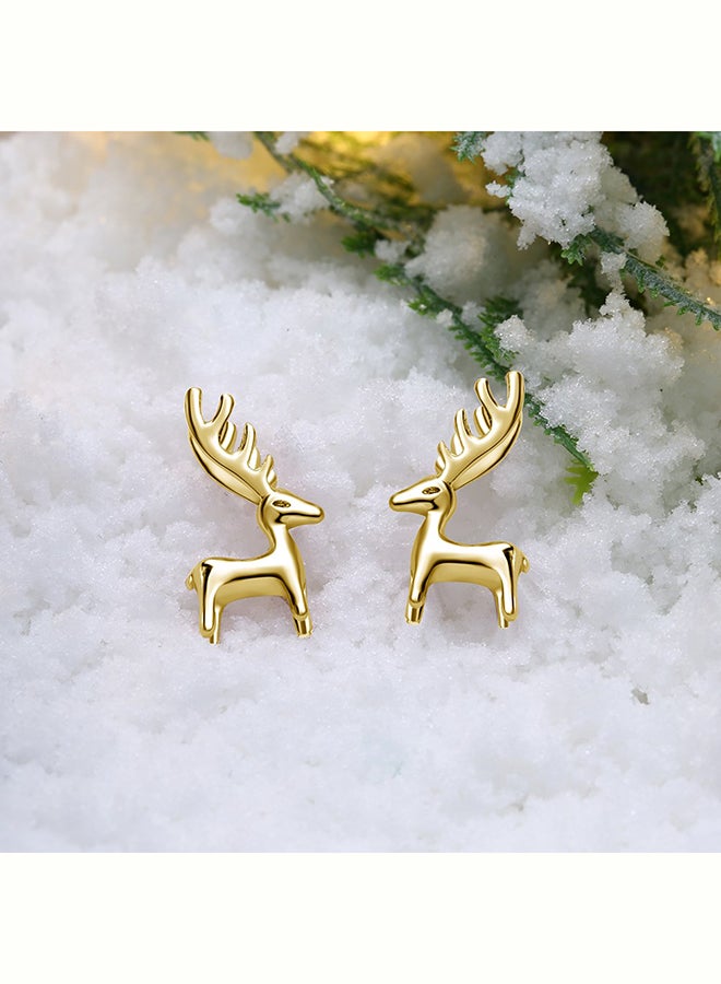 سكمي أقراط موضة للسيدات Lkn18Krgpe1329A - Image 4