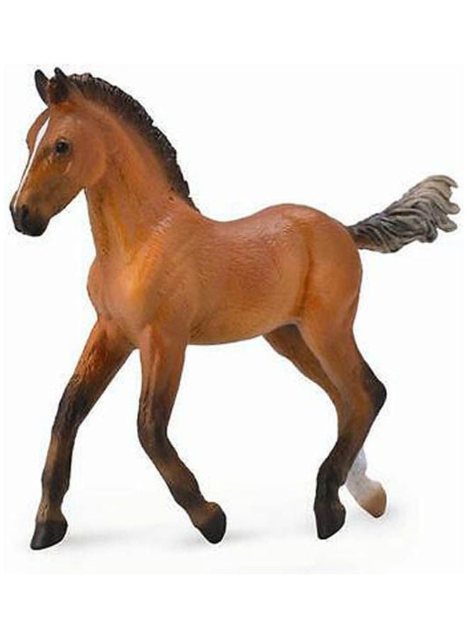 CollectA Hanoverian Foal Braun