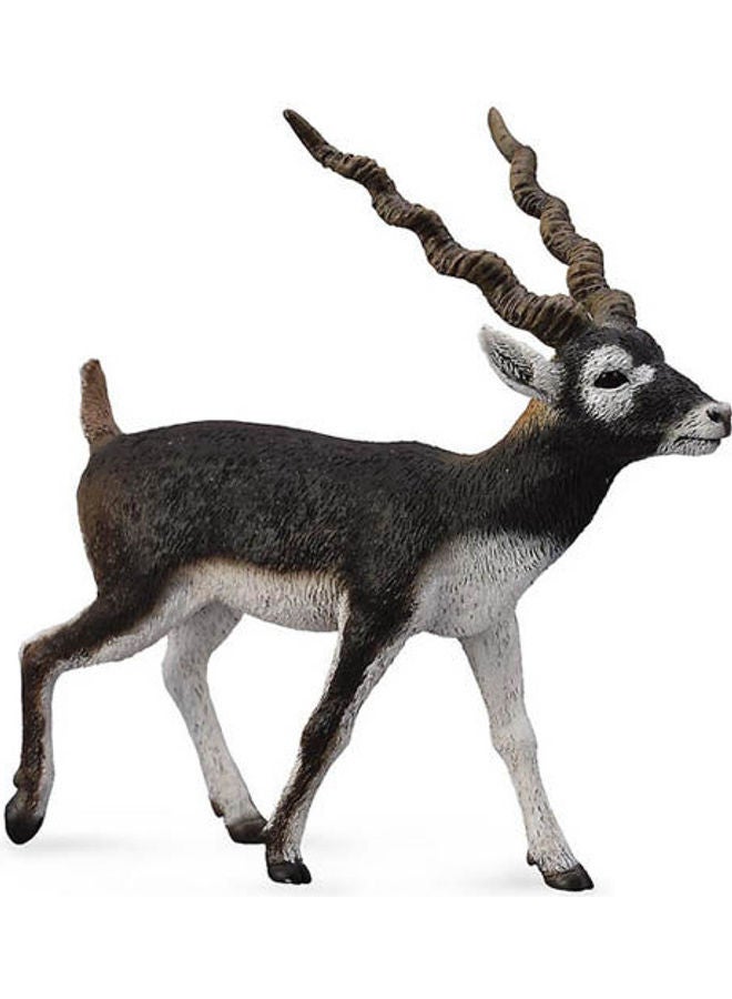 CollectA Wild Life Blackbuck 